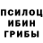Псилоцибиновые грибы прущие грибы AeBoK cHaPcHiN