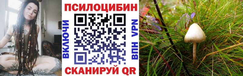 mega вход  продажа наркотиков  Заинск  Псилоцибиновые грибы MAGIC MUSHROOMS 